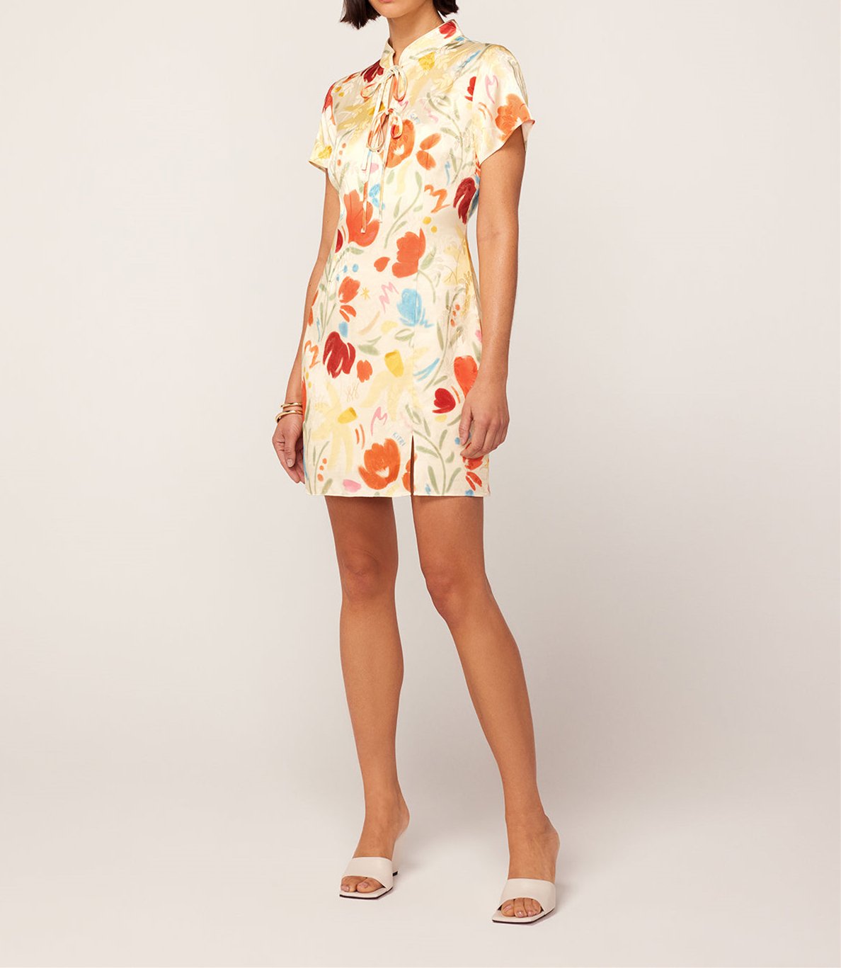 Short Sleeve Printed Mini Dress