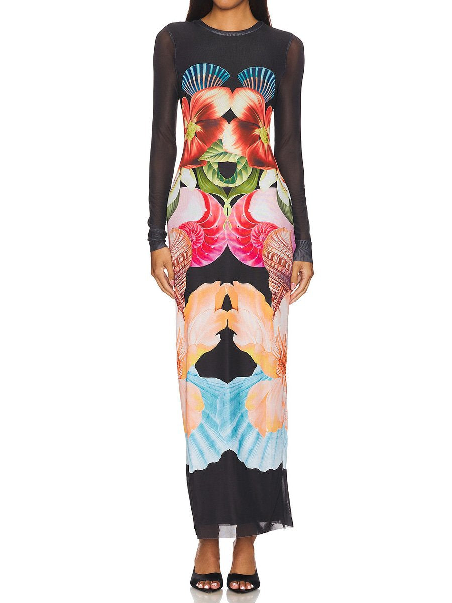 Mesh Patchwork Printed Long Sleeve Maxi Dress